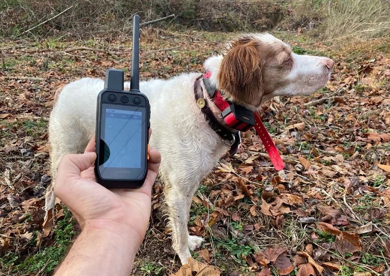 SportDOG vs Garmin Ultimate Dog Collar Comparison 2024