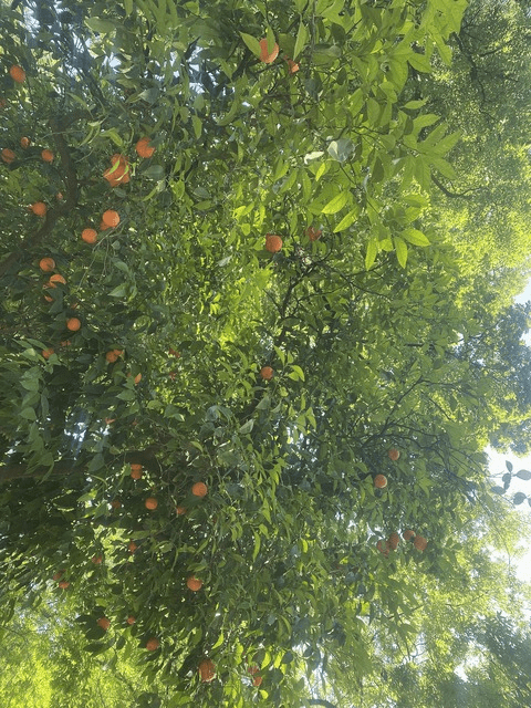 blinkx OnlyFans Leak (214 Photos and 32 Videos) - HotBroke