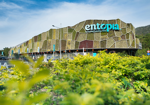 Penang_NatureAdventure_Entopia