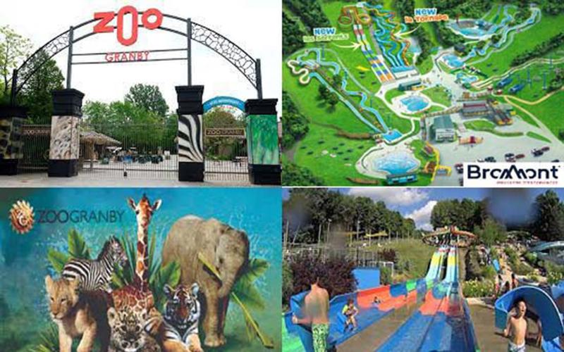 Forfaits Forfait Zoo de Granby, Forfait Parc Aquatique Bromont