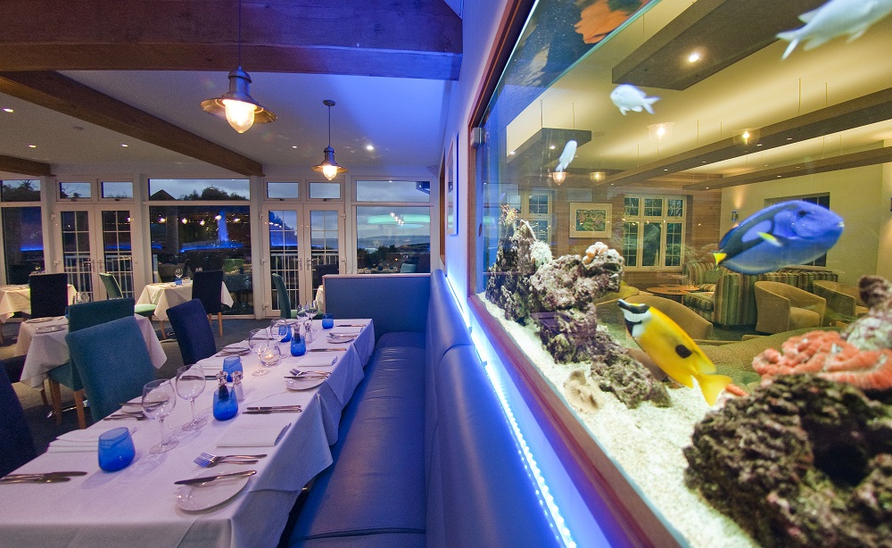 St. Michael's, Falmouth (Patrick Goff) • Hotel Designs