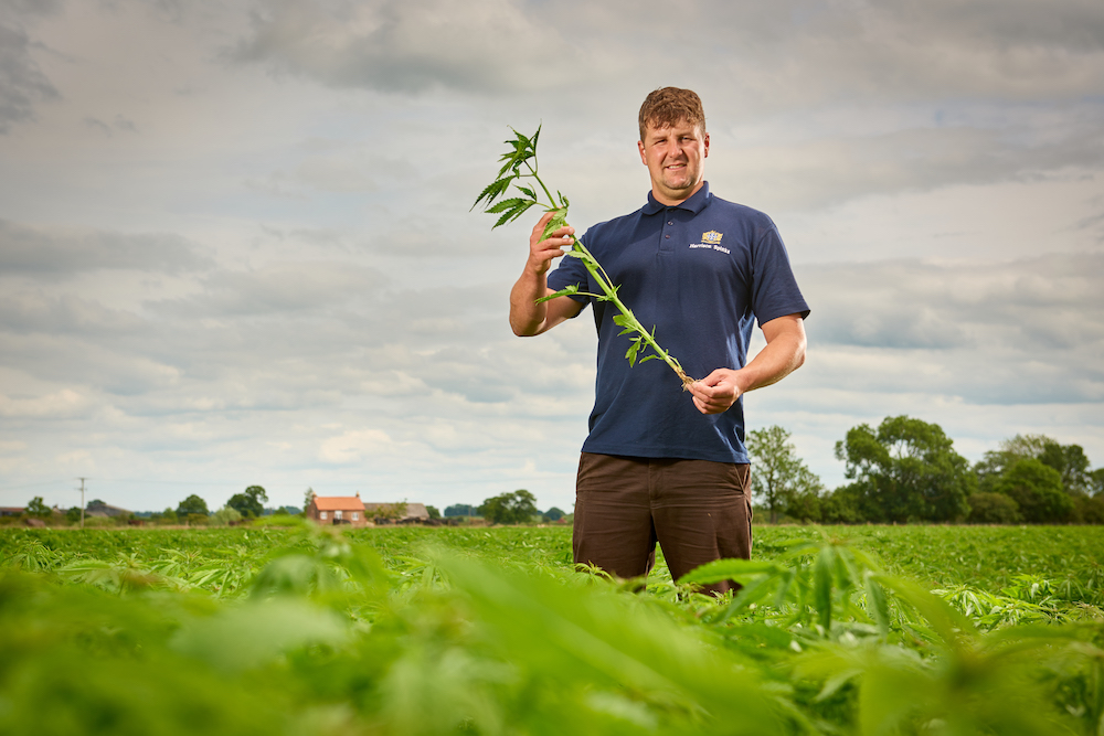 Harrison Spinks' path to leaders in luxury sustainable comfort