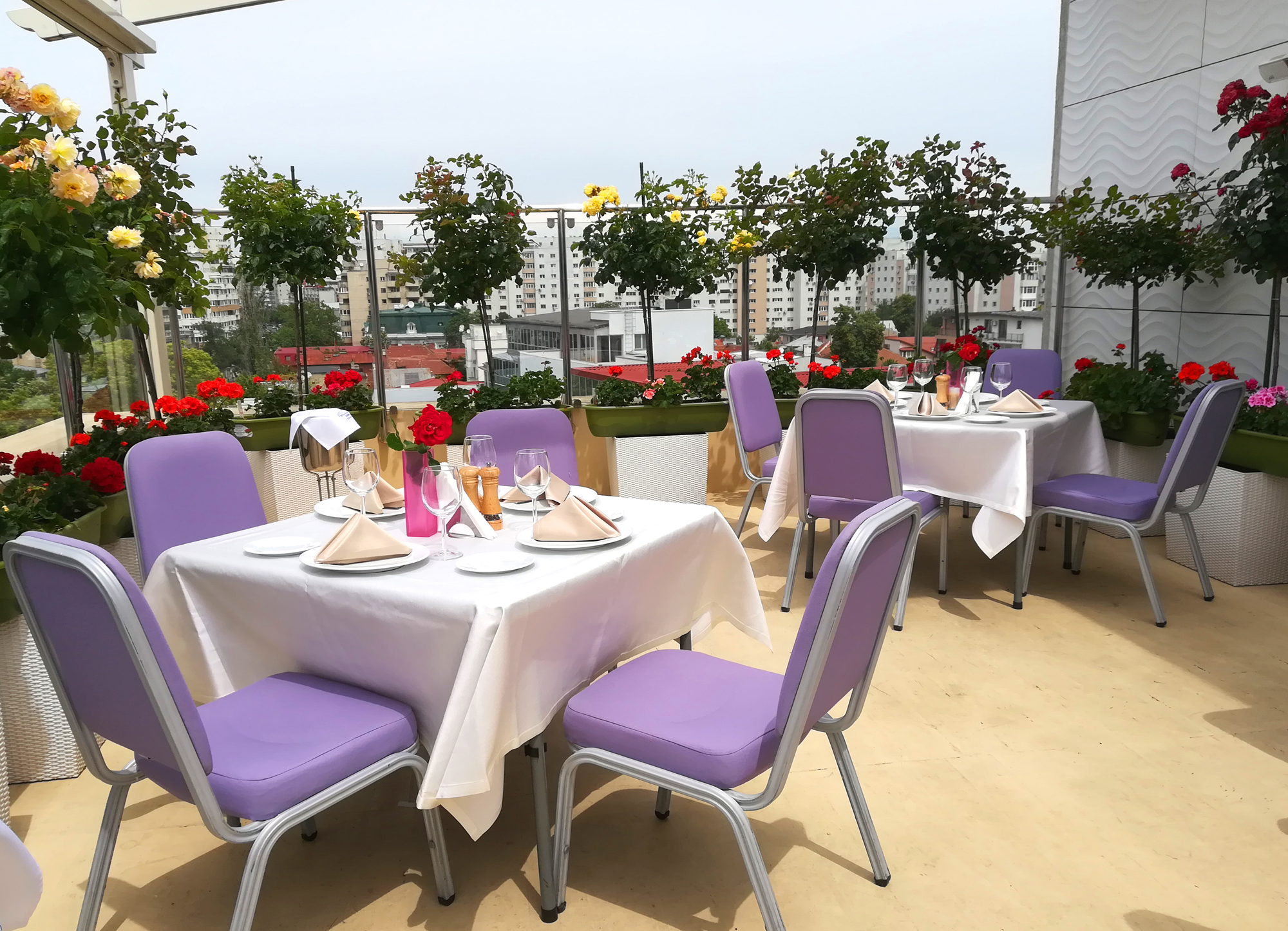 Galerie Foto Hotel Marshal Garden Bucuresti