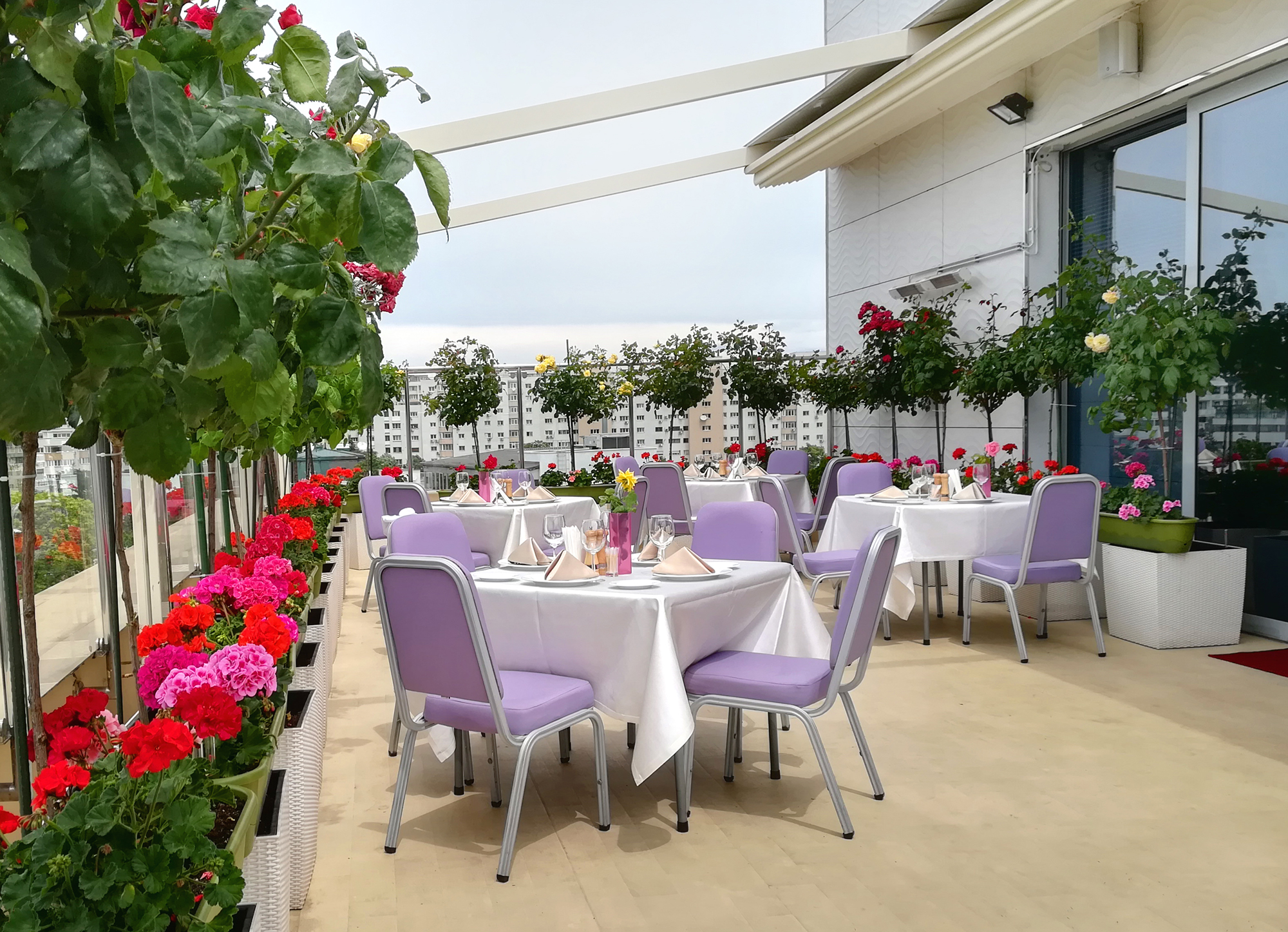 Galerie Foto Hotel Marshal Garden Bucuresti