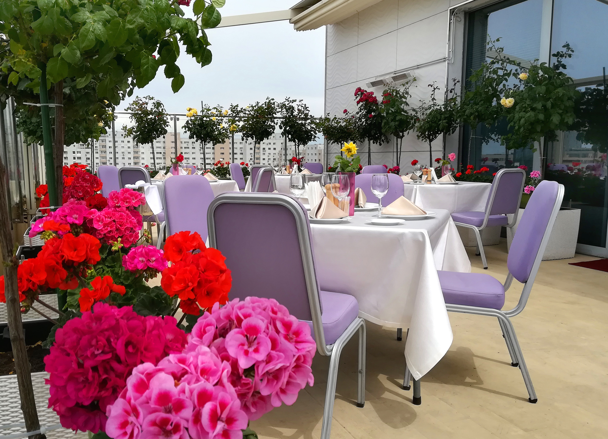 Galerie Foto Hotel Marshal Garden Bucuresti