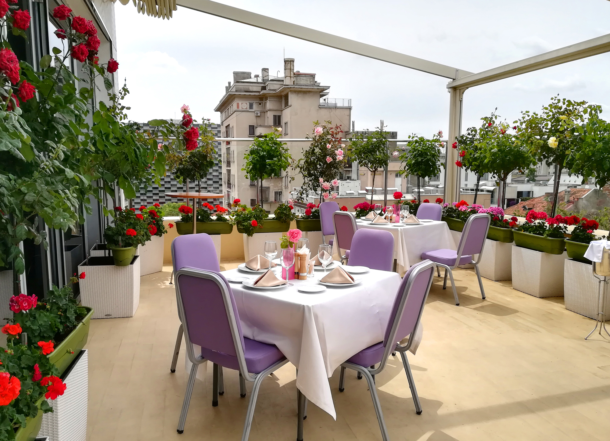 Galerie Foto Hotel Marshal Garden Bucuresti