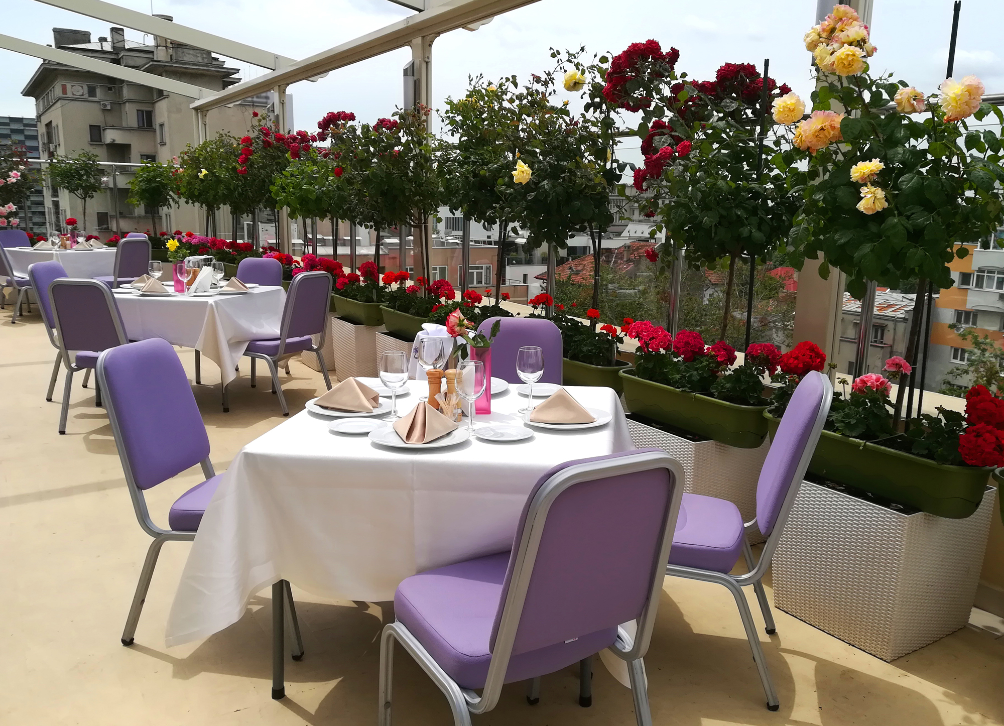 Galerie Foto Hotel Marshal Garden Bucuresti