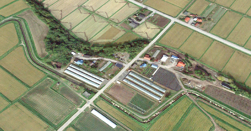 ほっとファーム｜北海道上川郡東神楽町で観光農園を営む「ほっとファーム」です。野菜生産と観光農園、直売をしています。