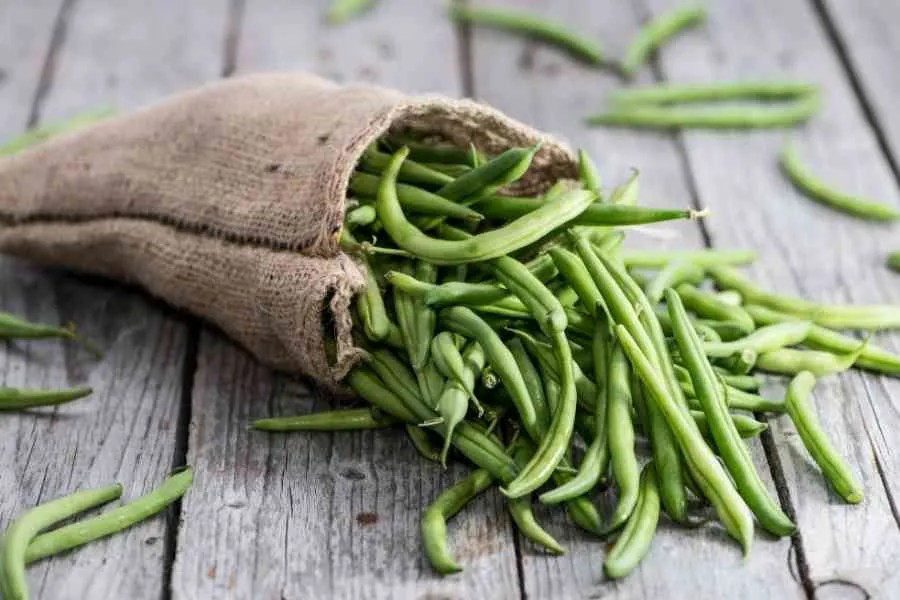 What Vegetables Goes Well With Pork Chops 10 Tasty Combinations