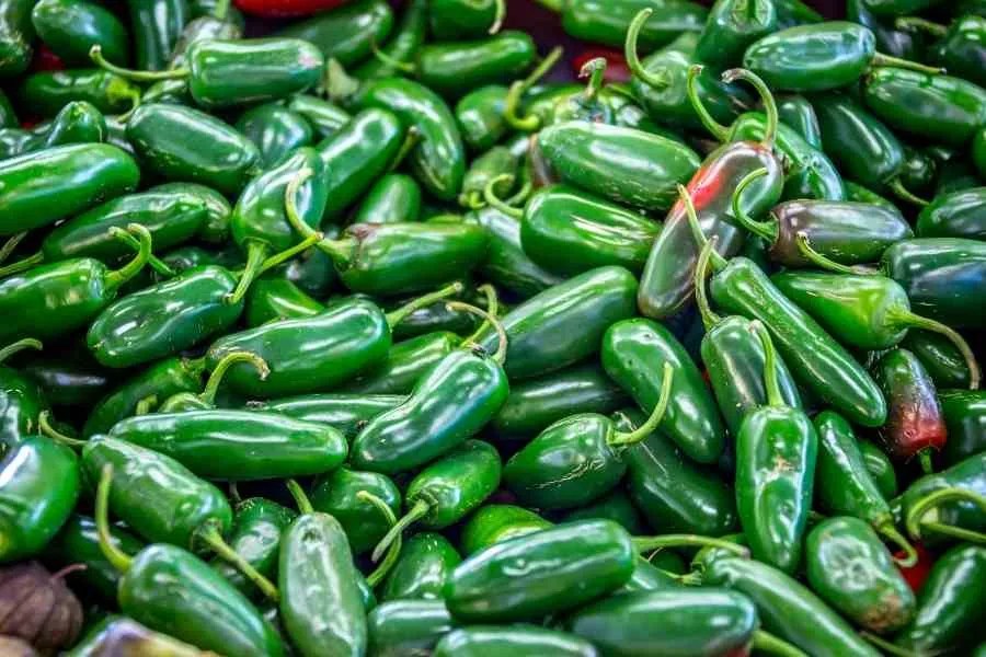 What Vegetables Goes Well With Chili 10 Amazing Alternatives