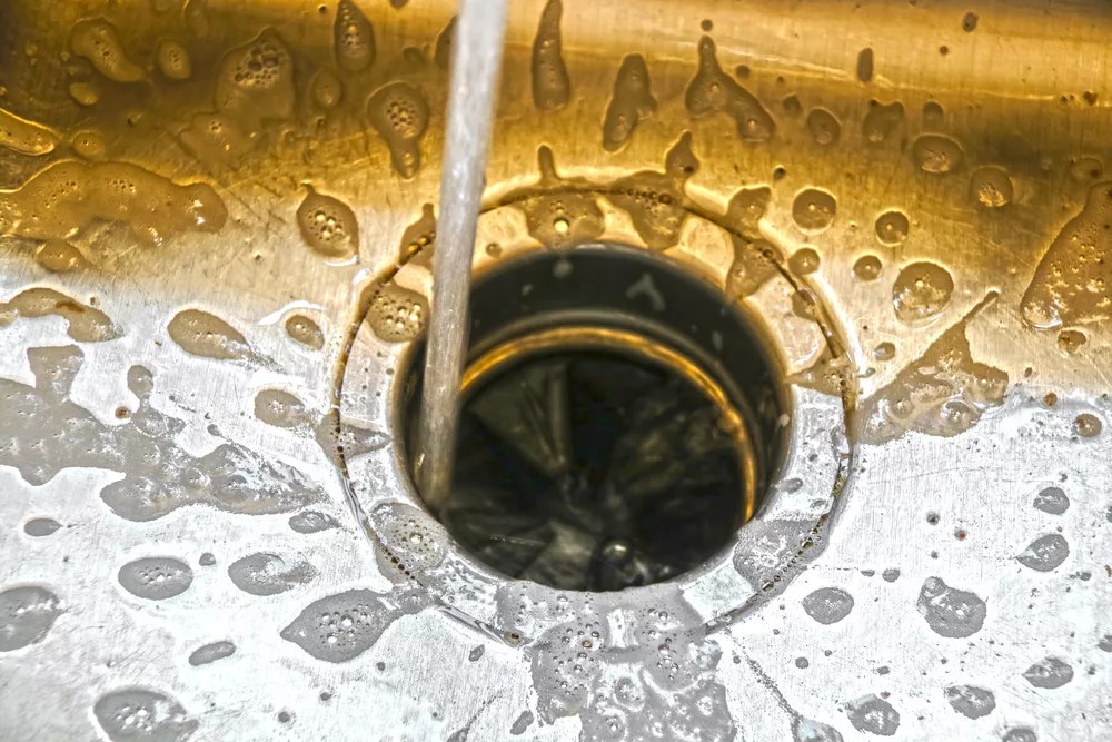 The Risks of Using Garbage Disposals with Septic Systems