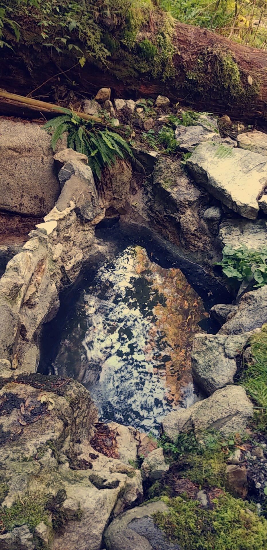 Sulphur Hot Springs Hot Springs Of British Columbia