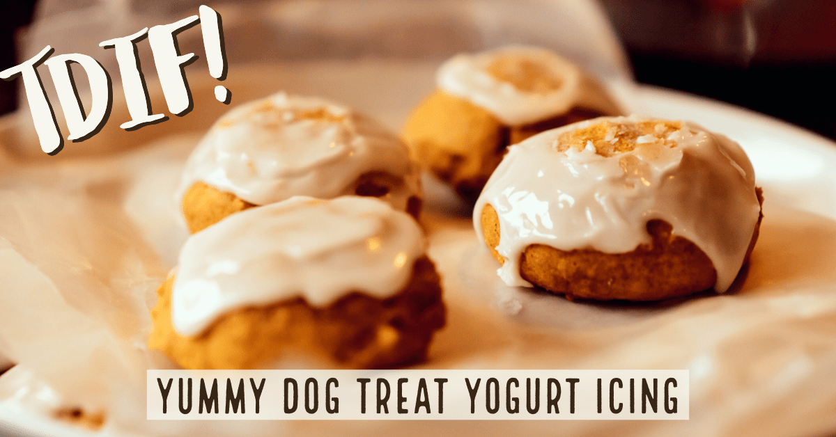 Yummy Dog Treat Yogurt Icing