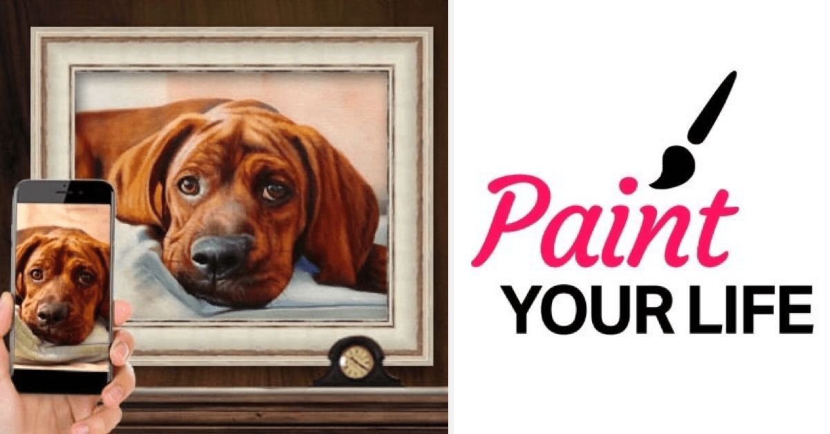 Fetch 15 Off Paint Your Life Portraits
