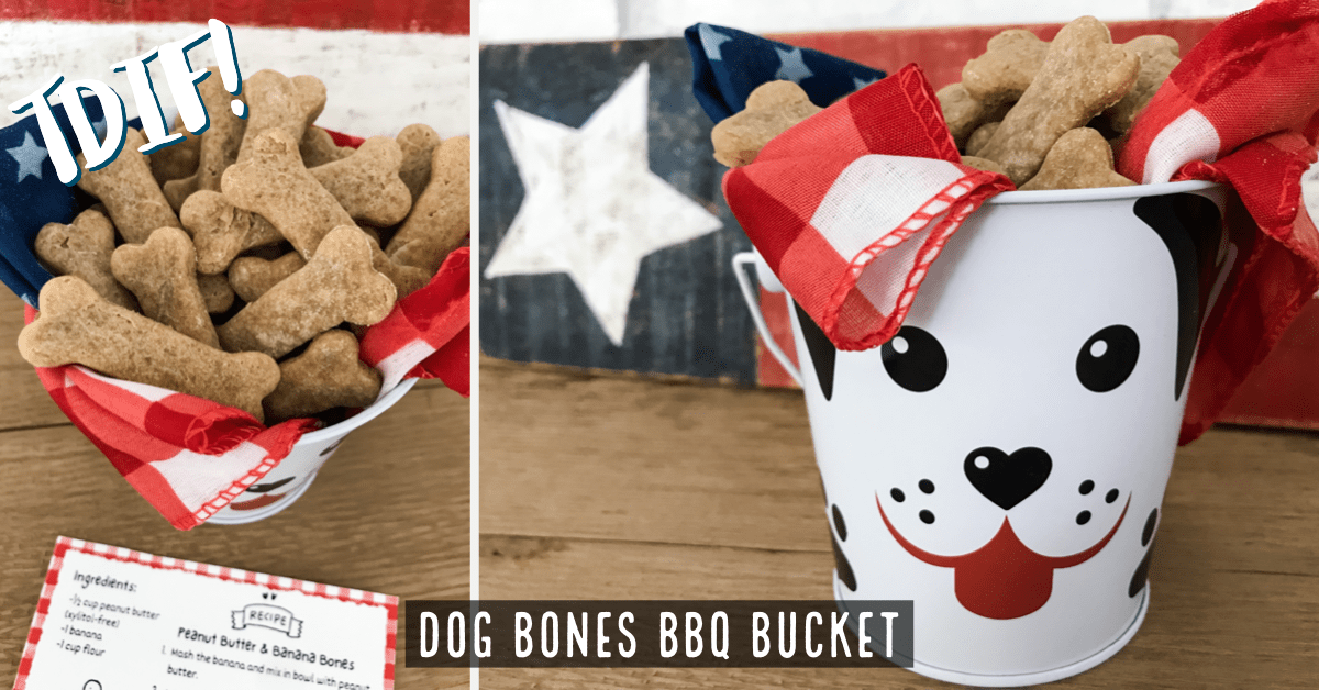 Dollar Tree DIY Dog Bones BBQ Bucket