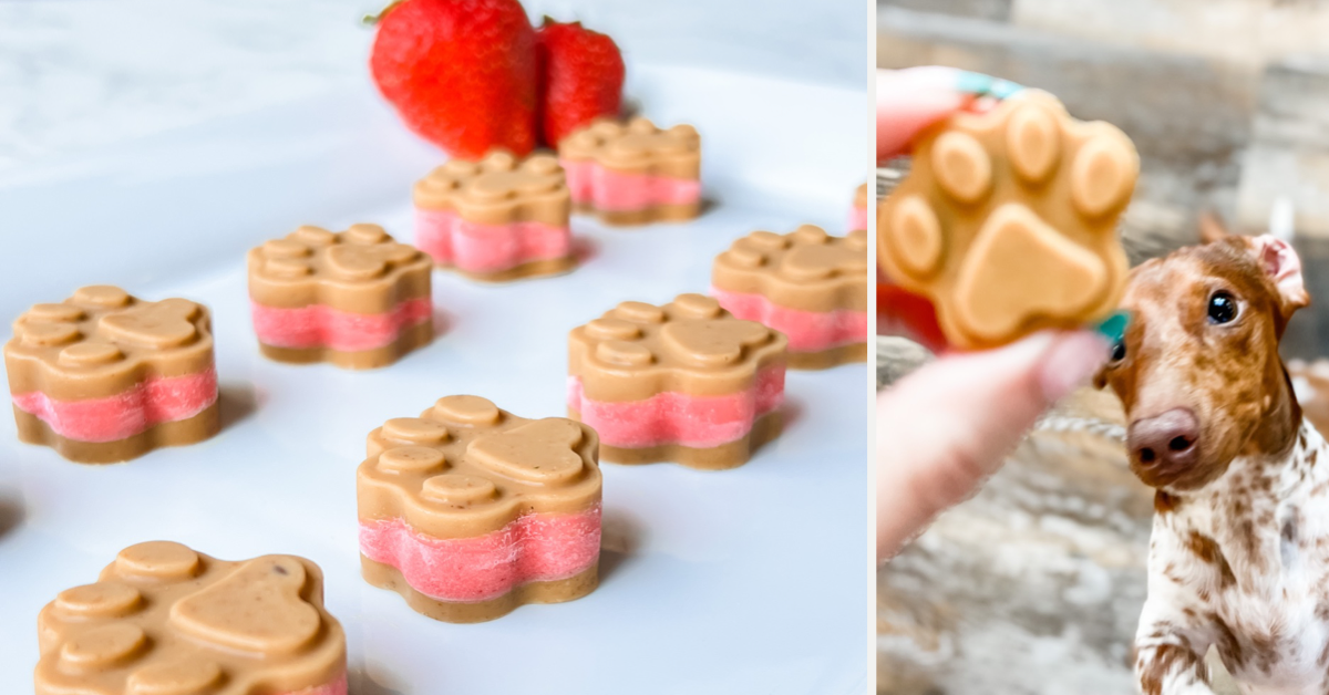 Peanut Butter & Jelly Frozen Dog Treats