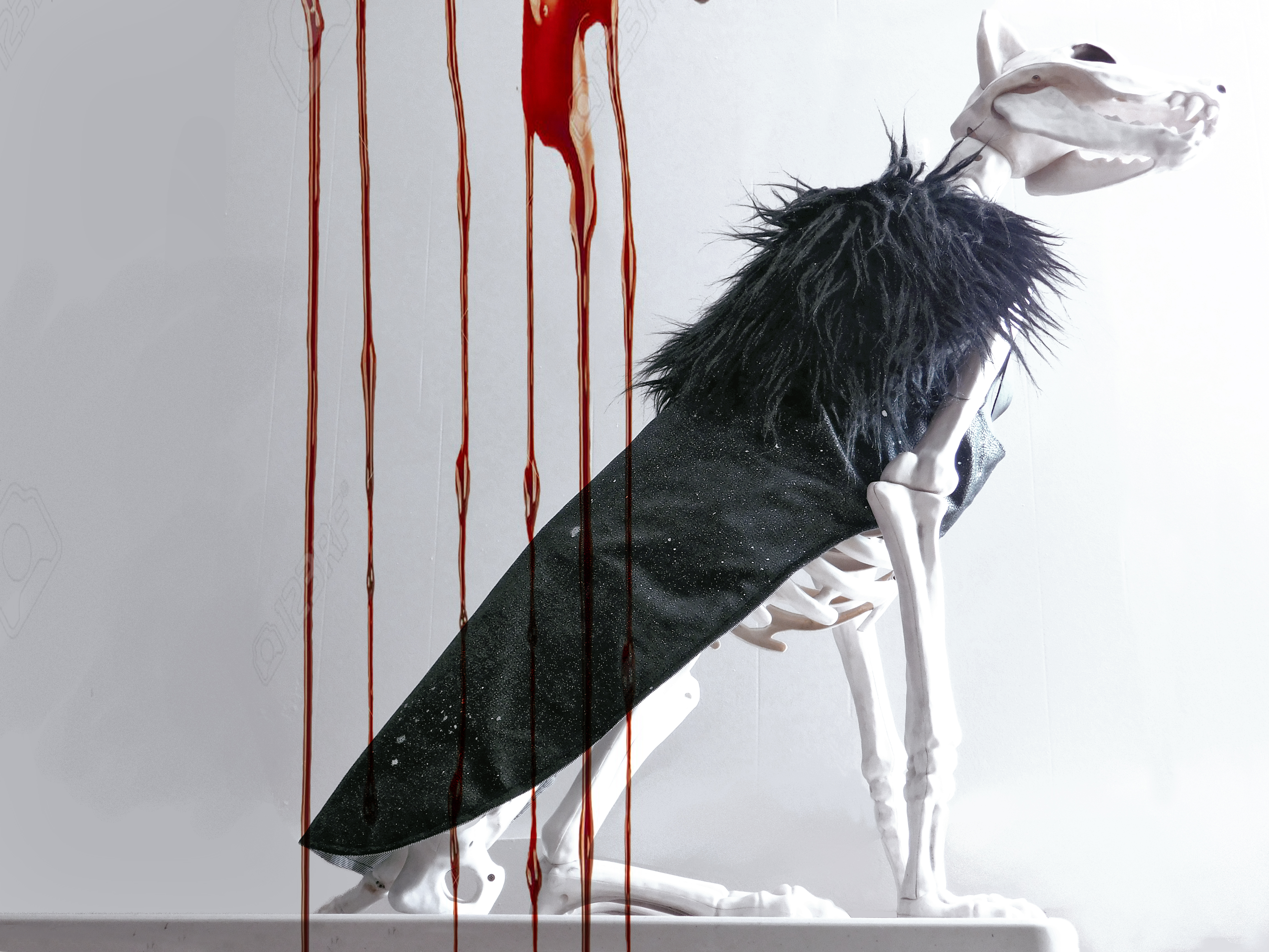 Jon Snow Winterfell Dog Costume Night’s Watch Game of Thrones