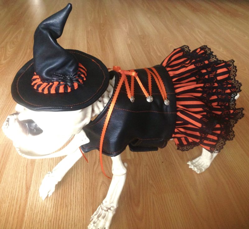 Witch Dog Costume
