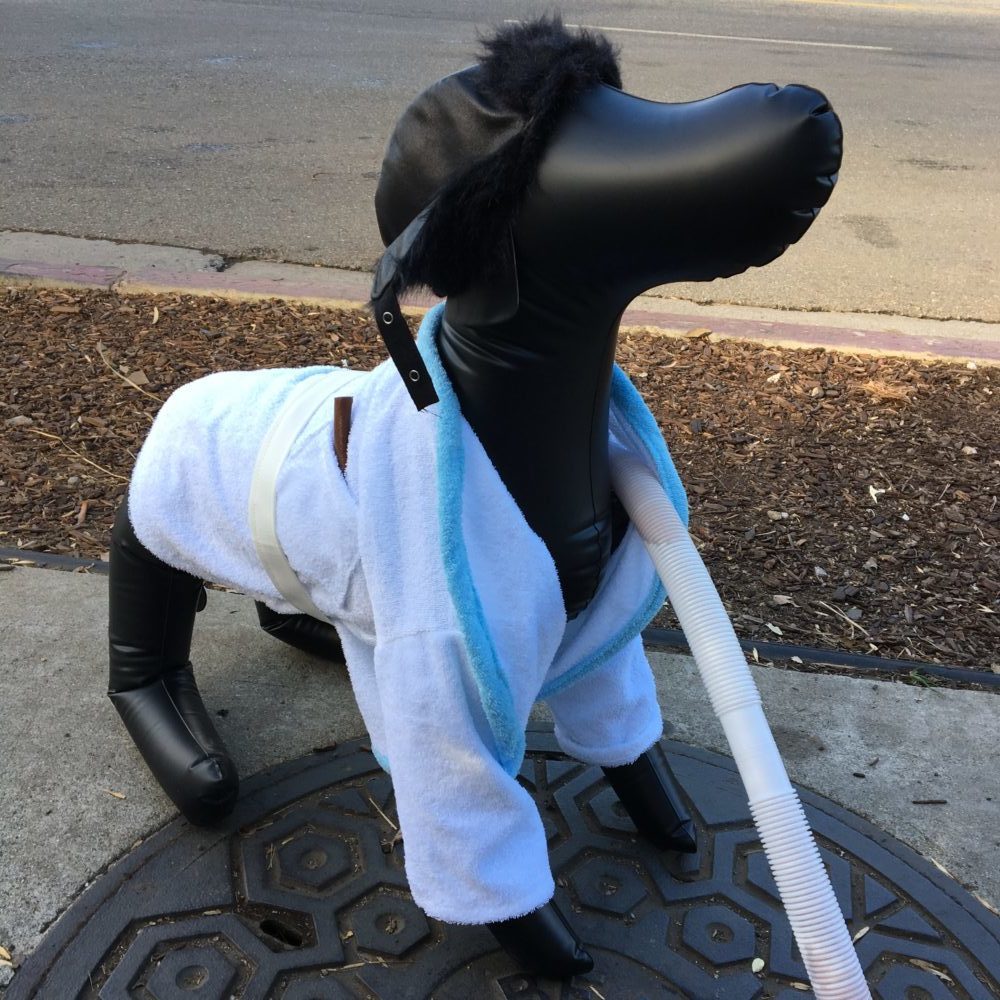 Funny Christmas Costume for Dogs, Xmas Vacation, Shitters Full