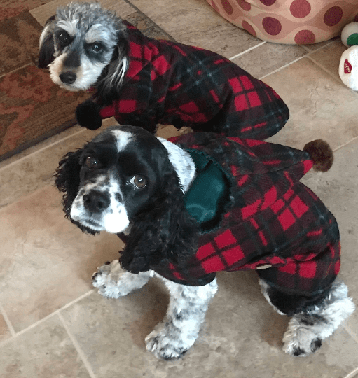 Winter Fleece Tartan Dog Coat with Hoodie