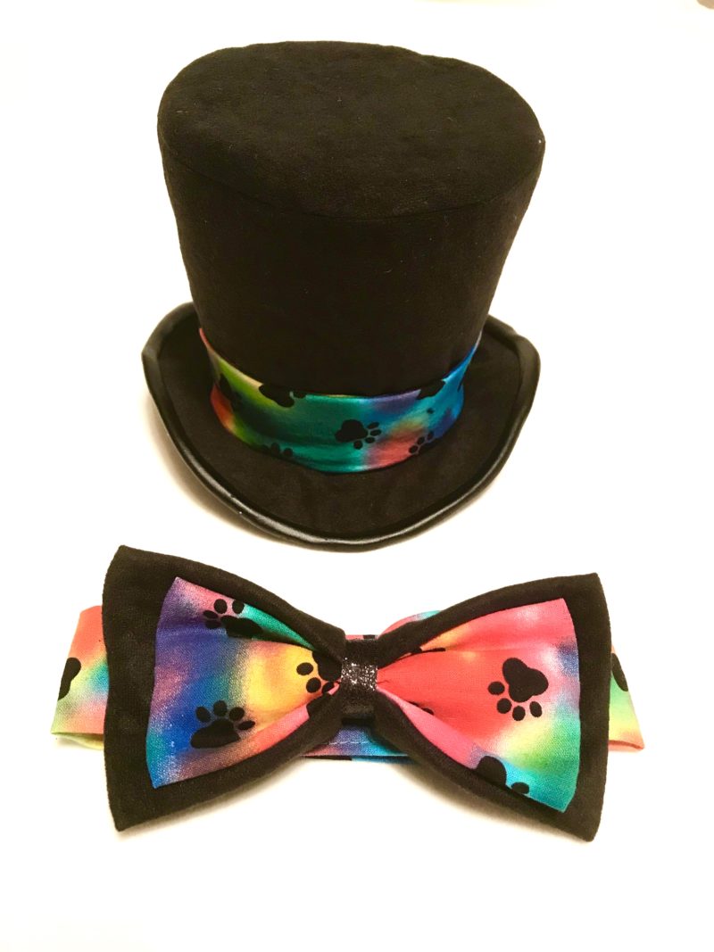 Rainbow Wedding Dog Top Hat & Bow Tie Set
