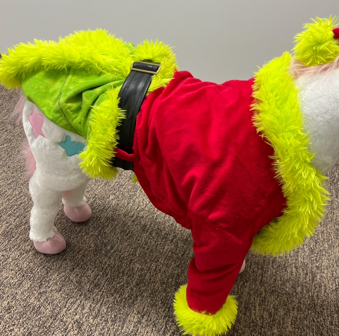 Grinch Santa Claus Costume for Dogs