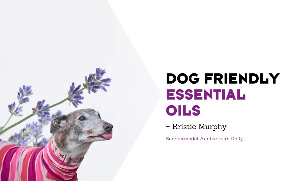 Dog Friendly Essential Oils houndtees