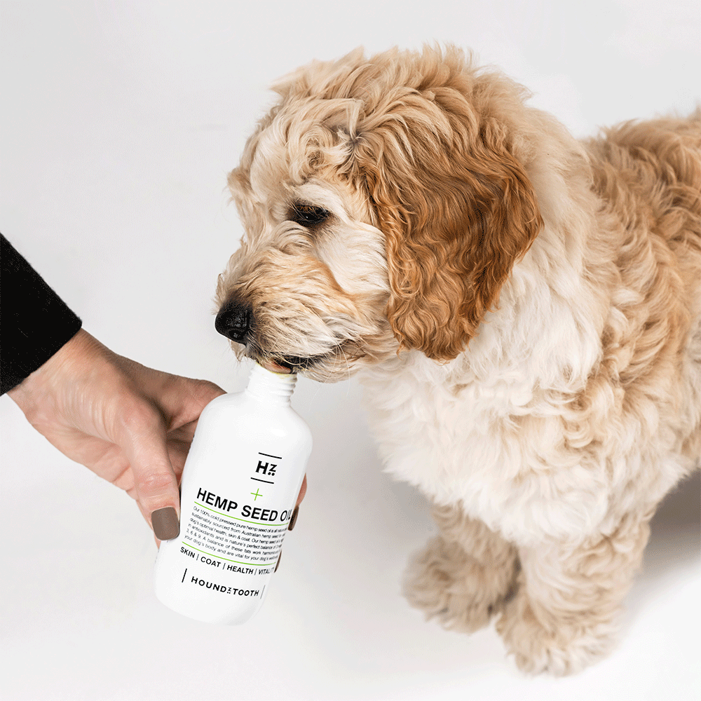 Hemp Seed Oil For Dogs Houndztooth