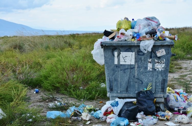 Waste Management in Australia HouseAffection