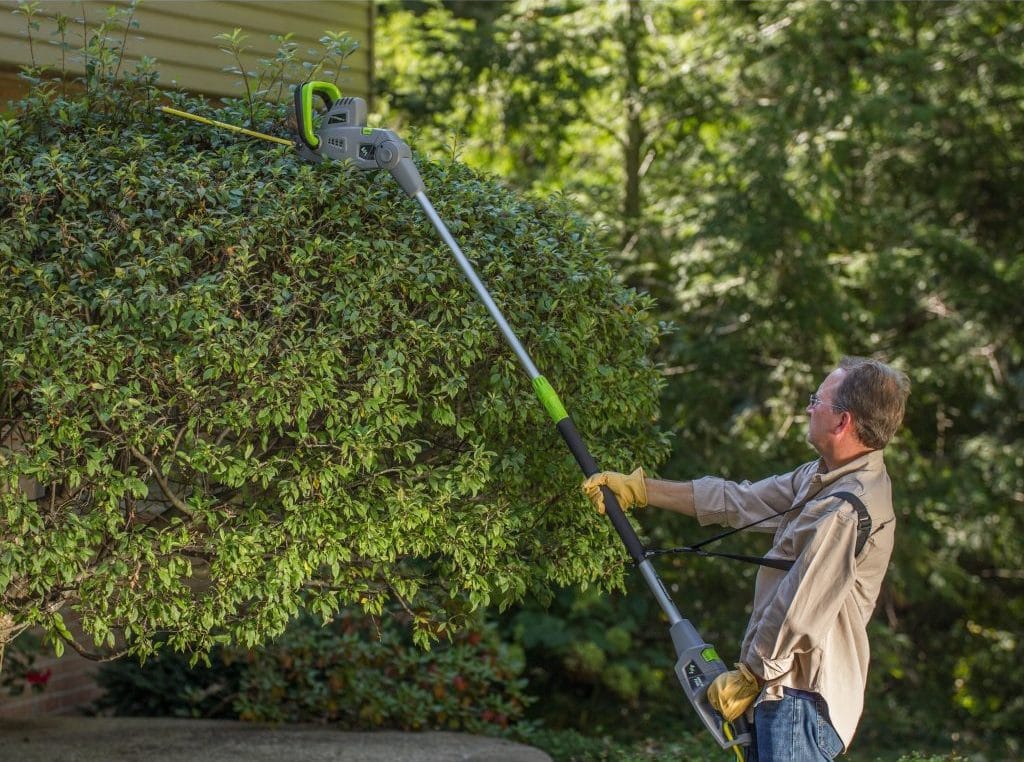 6 Best Pole Hedge Trimmers (Winter 2024) Reviews & Buying Guide