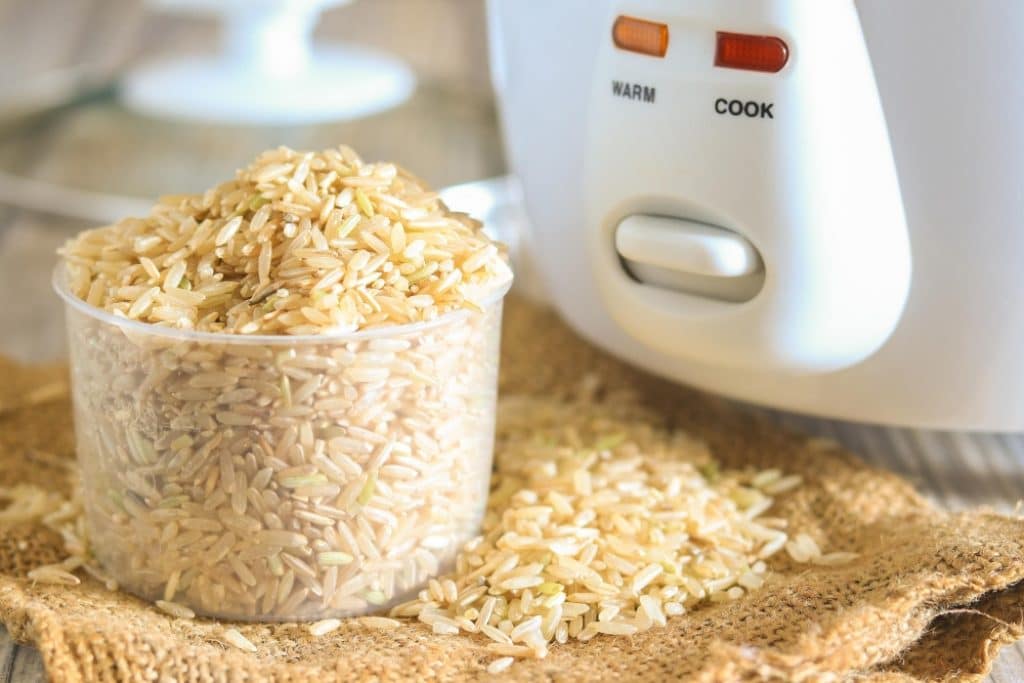 10 Best Rice Cookers for Brown Rice (Spring 2024) Reviews & Guide