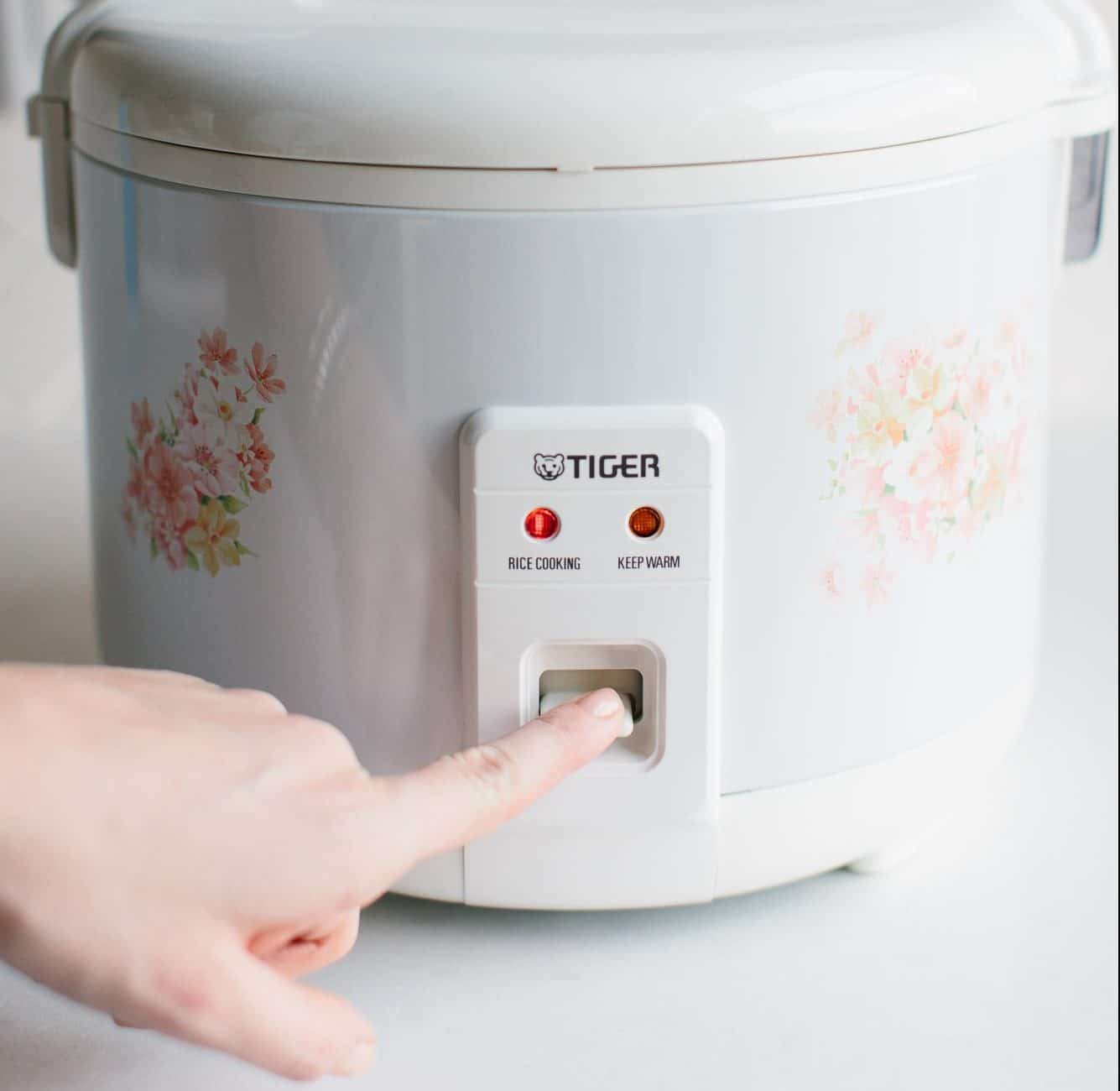 6 Best Sushi Rice Cookers (Winter 2024) Reviews & Buying Guide