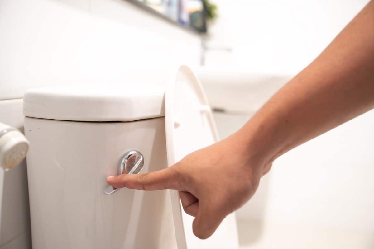 9 Types of Toilet Flush Systems Everything You Need to Know in 2021