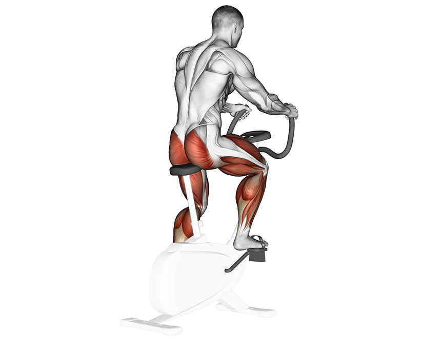 Spin Bike vs. Exercise Bike Compare and Decide (Winter 2024)