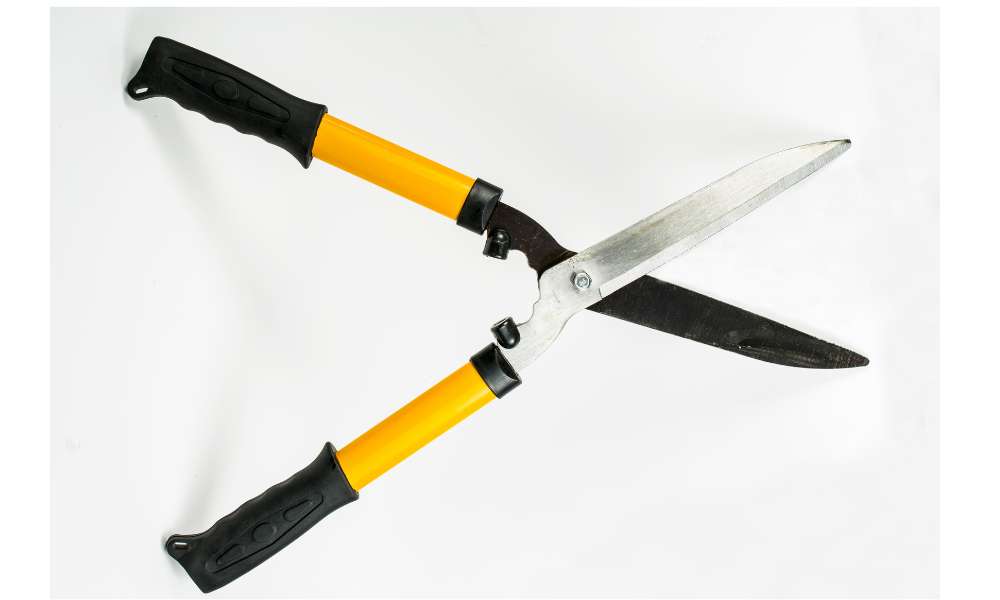 What Is A Kitchen Shears Used For In Cooking House Arctic