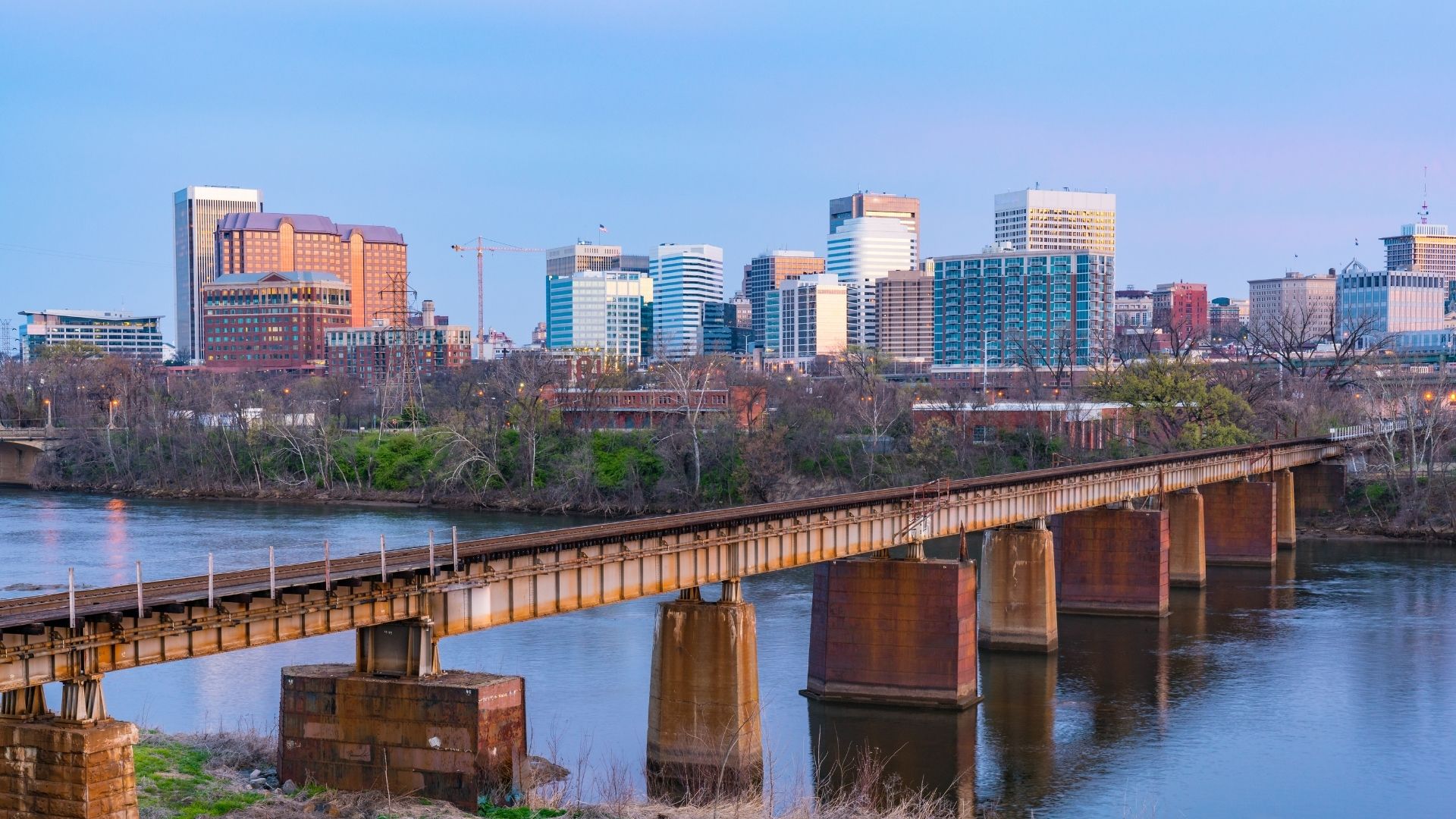 Mobile Veterinarian In Richmond, VA House Call Vet RVA