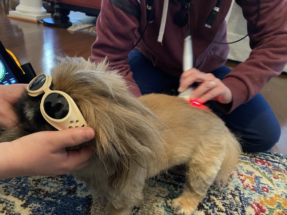 House Call Vet RVA Gallery Mobile Vet In Richmond, VA