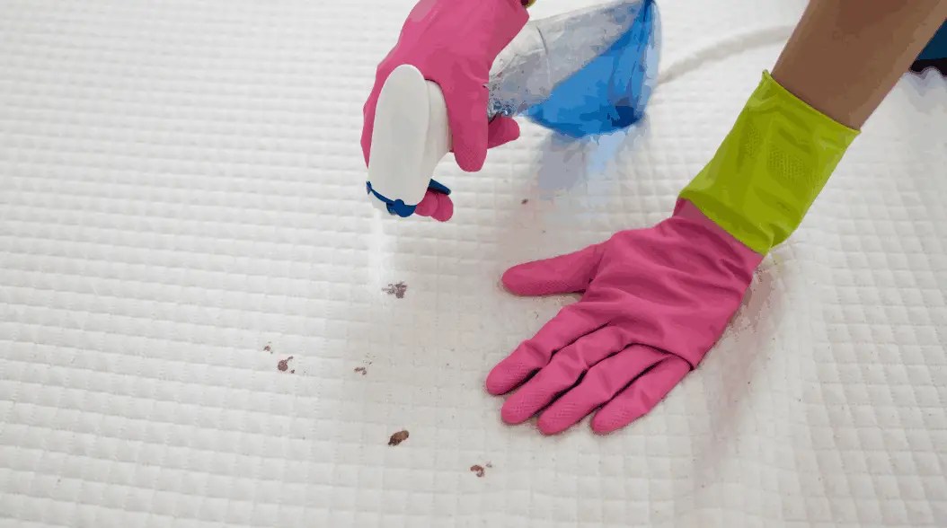 How to Clean Mattress Stains With Baking Soda?A Simple Guide
