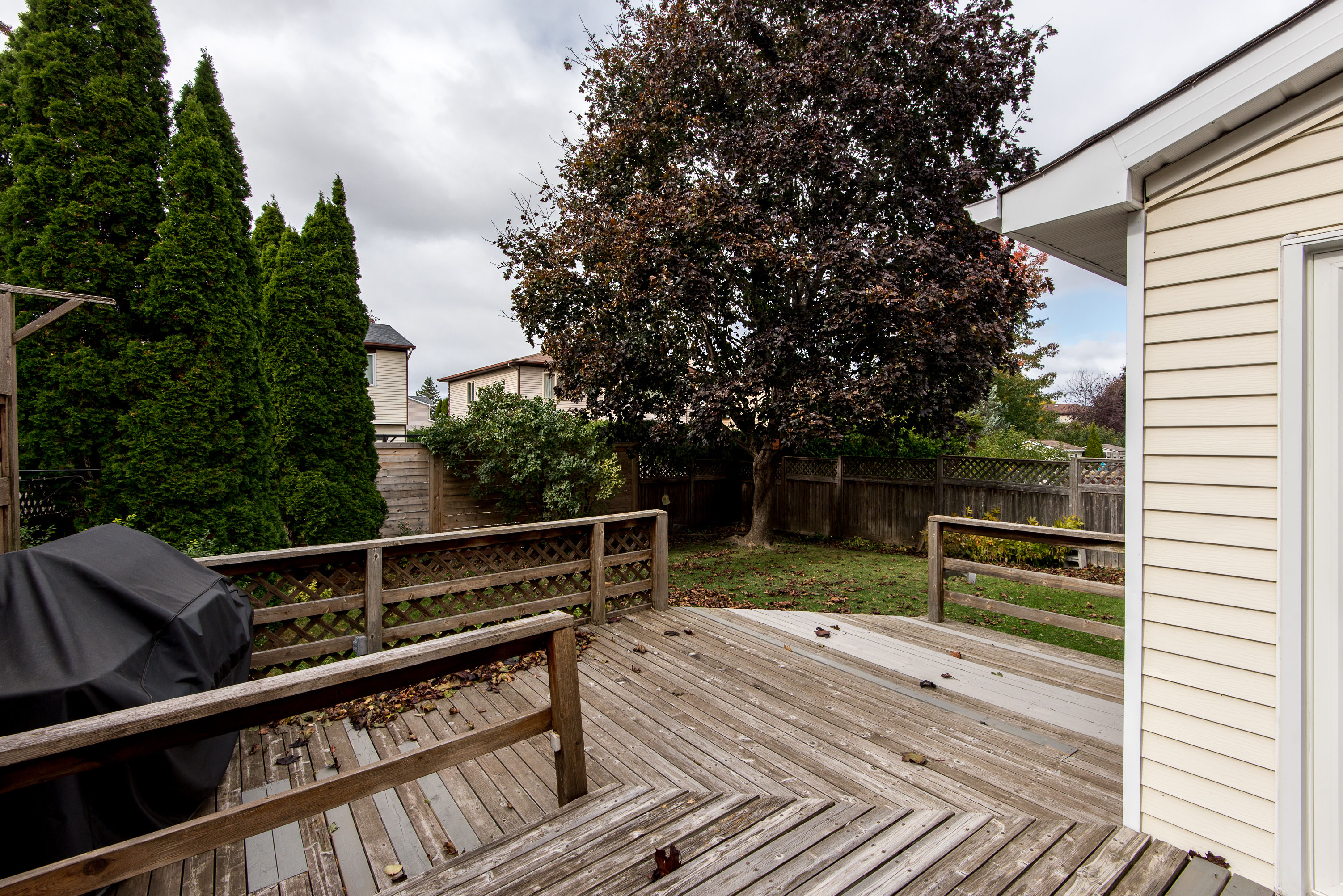 Centrepointe House Curious