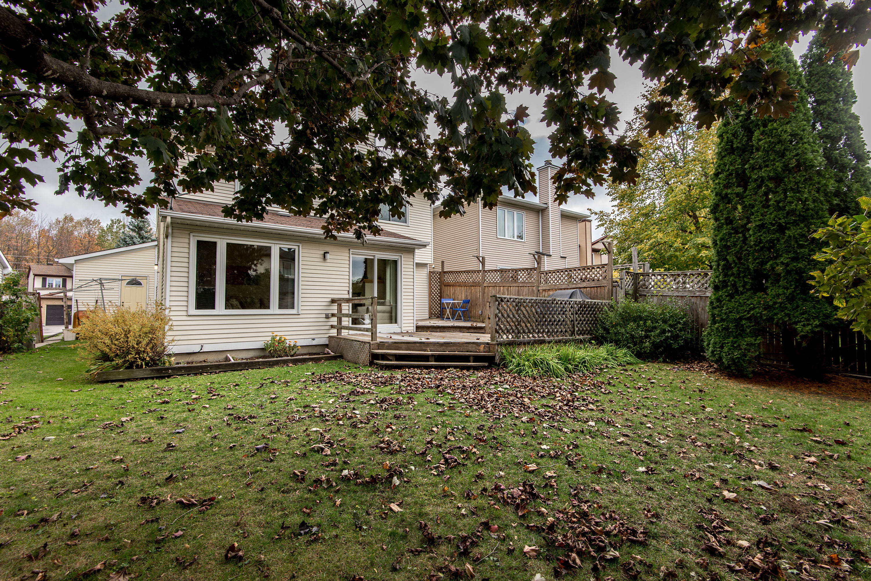 Centrepointe House Curious