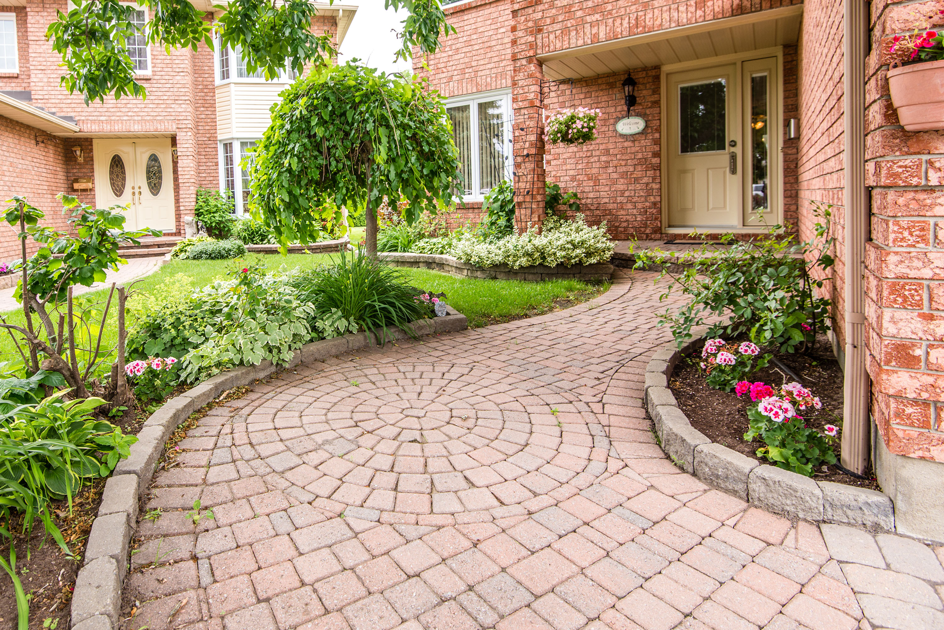 Centrepointe House Curious