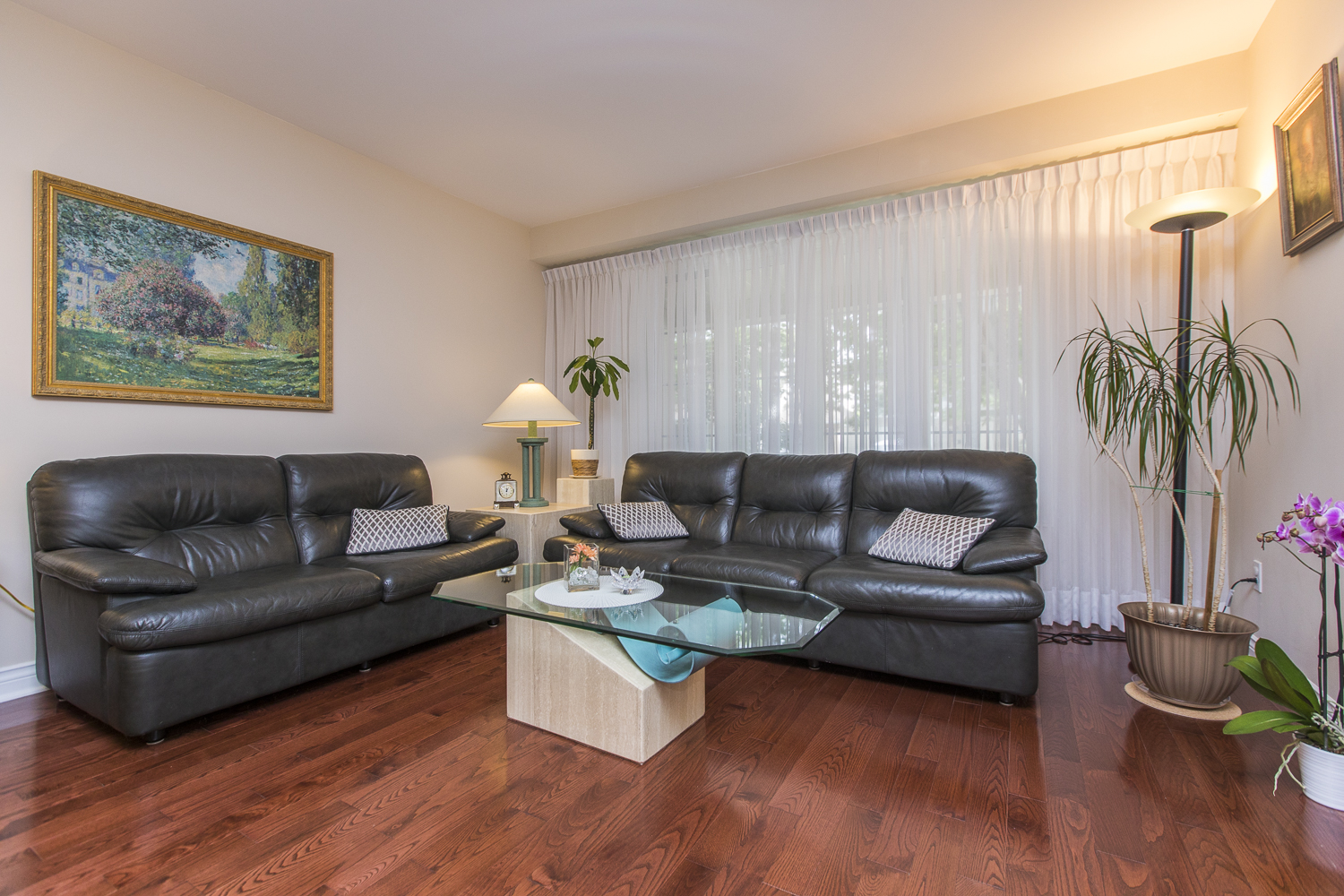 Centrepointe House Curious