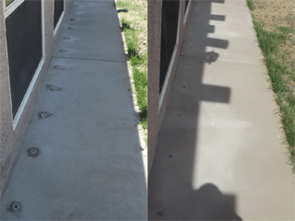 Subterranean Termites In Arizona And Treatment Options