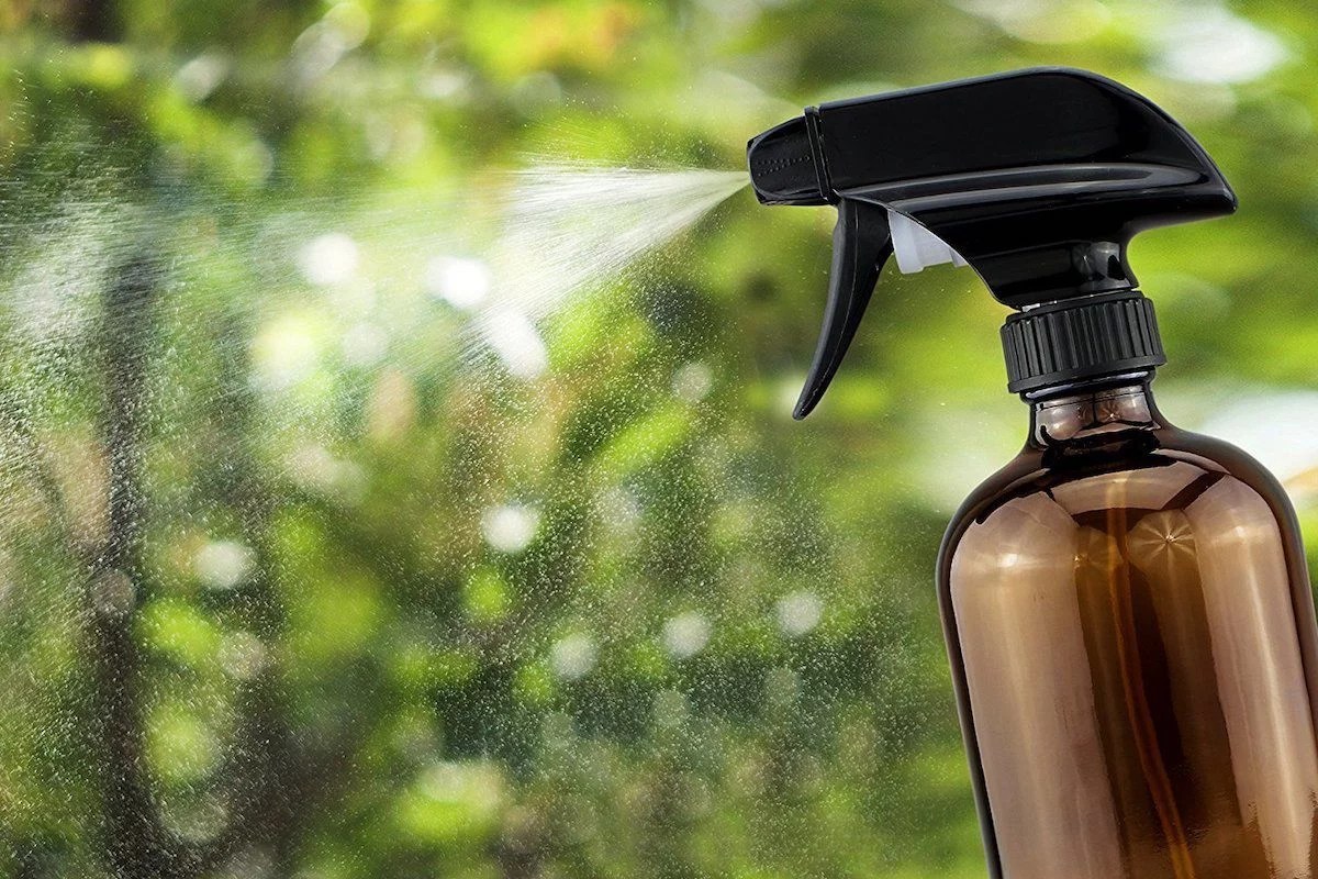 Strange Tiny Red Bugs In Your Window Everything To Know! House Frey