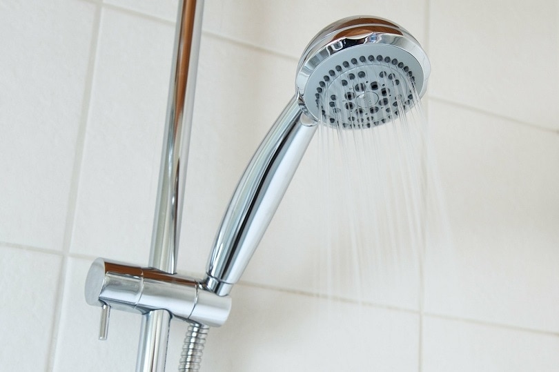 Bath vs. Shower Which Has the Highest Water Usage? House Grail