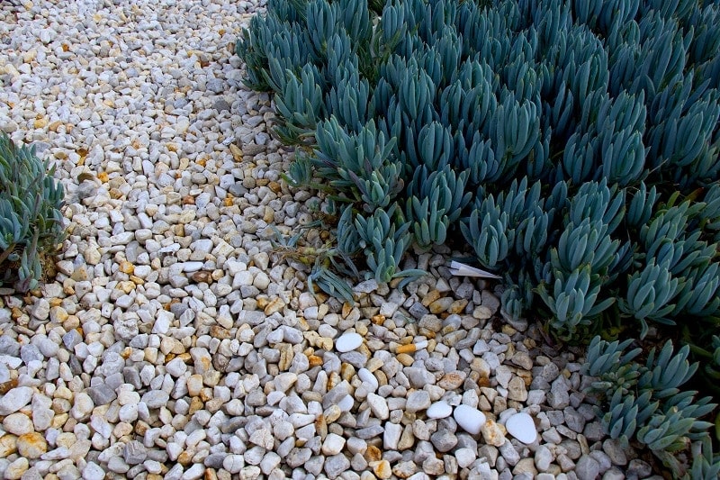 10 Best Stone & Gravel Types for Landscaping (Pros & Cons) House Grail