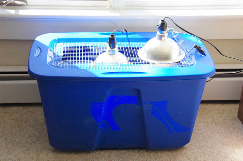 18 Free DIY Chicken Brooder Plans You Can Make Today (With Pictures