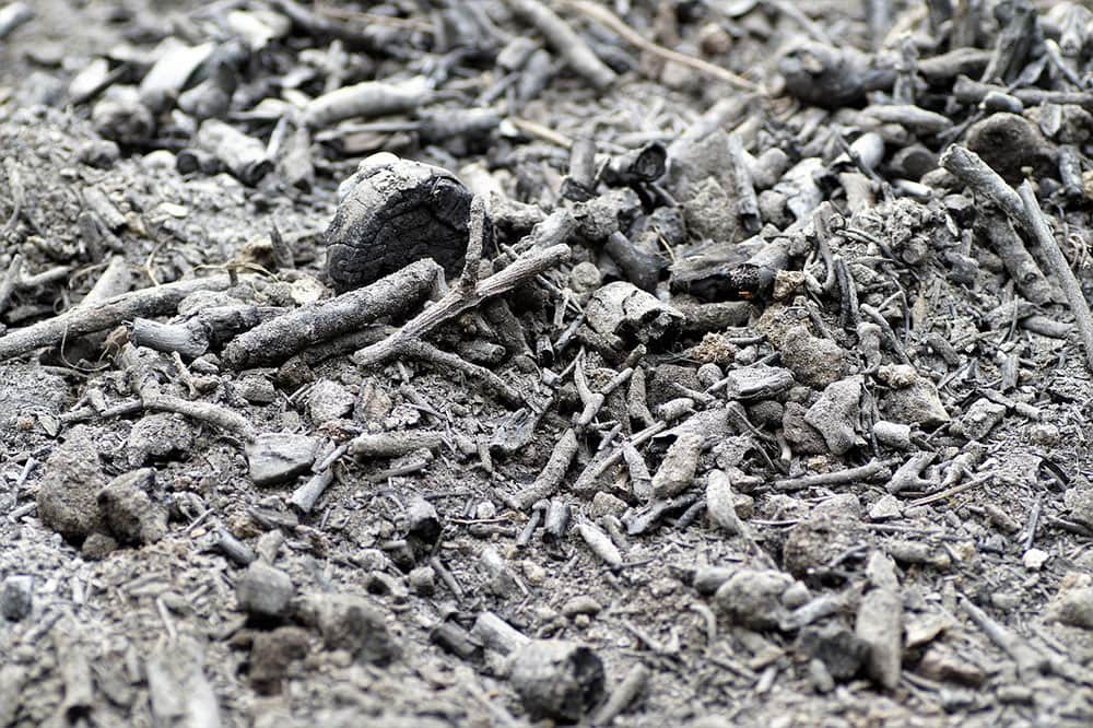 Is Ash Good for Compost? What You Need To Know! House Grail