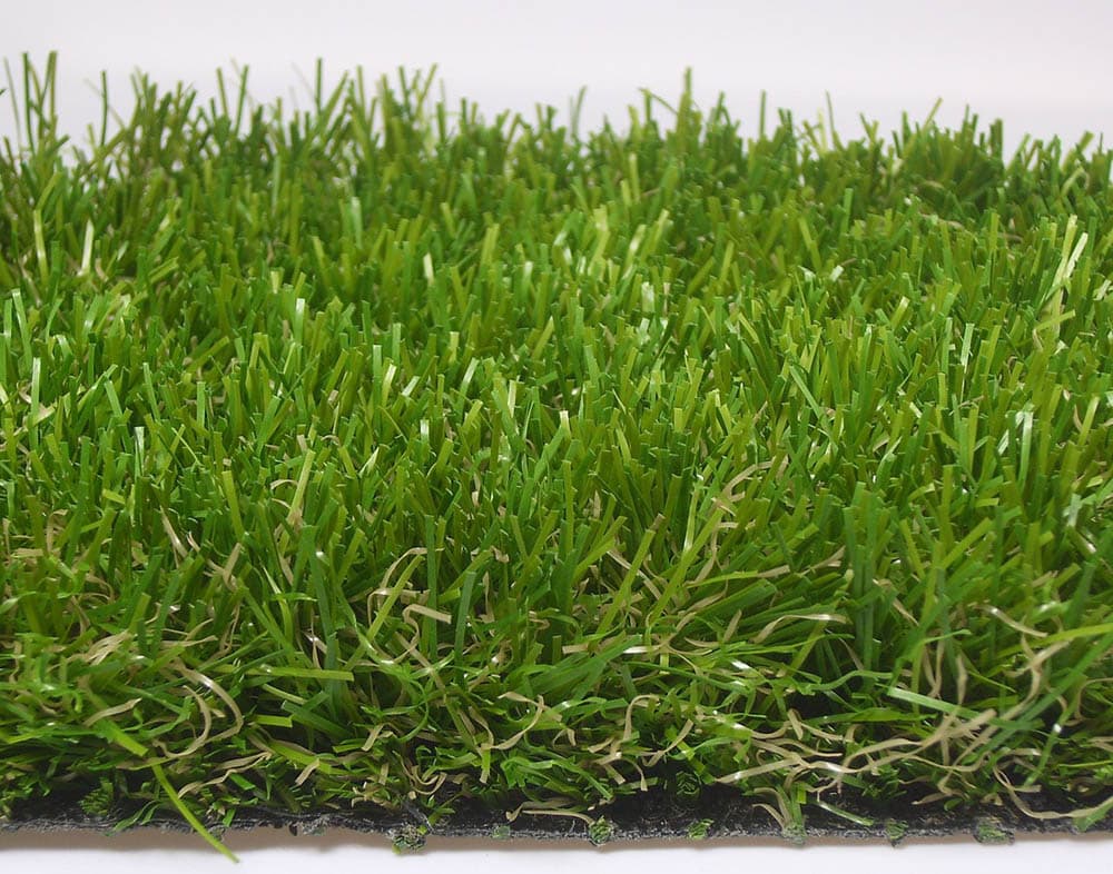12 Types of Grass & Their Benefits (With Pictures) House Grail