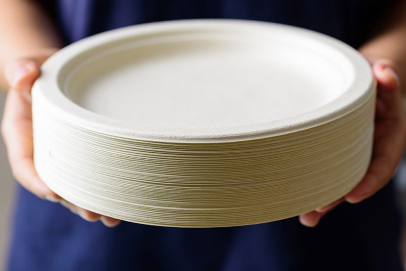 Are Paper Plates Microwave Safe? Microwave Safety Tips You Should Know! House Grail